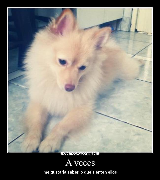 A veces - me gustaria saber lo que sienten ellos