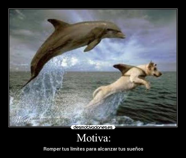 Motiva: -