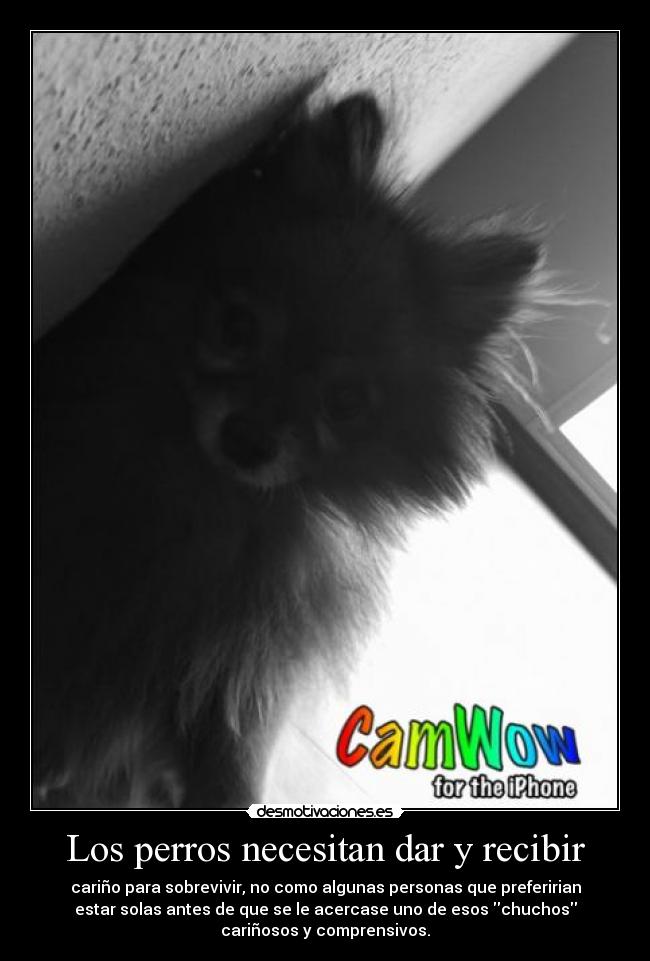 carteles los perros los mejores desmotivaciones