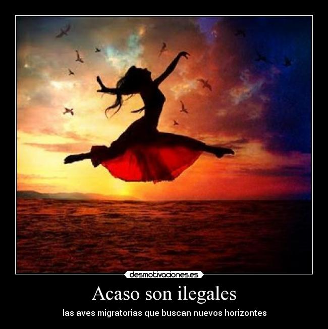 Acaso son ilegales -
