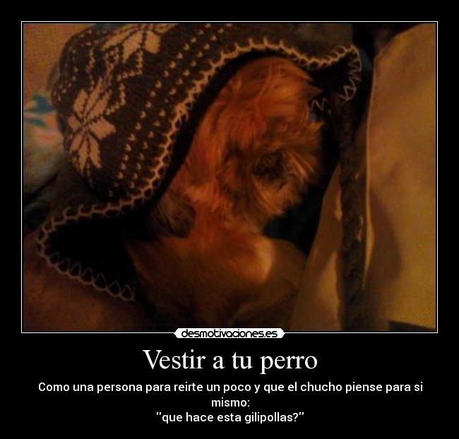 Vestir a tu perro - Como una persona para reirte un poco y que el chucho piense para si mismo:
que hace esta gilipollas?