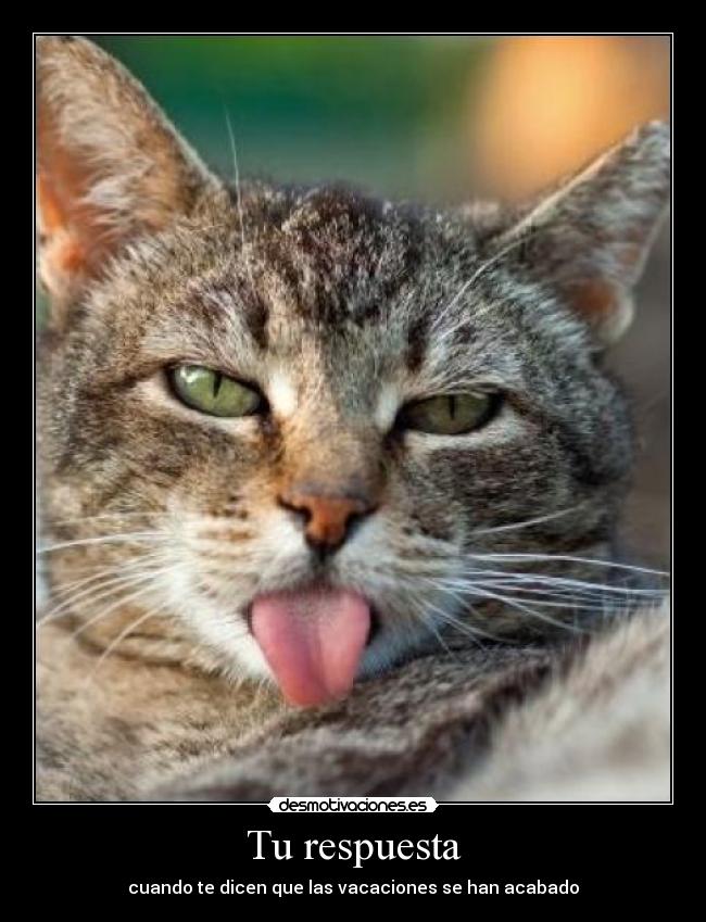 Tu respuesta - cuando te dicen que las vacaciones se han acabado
