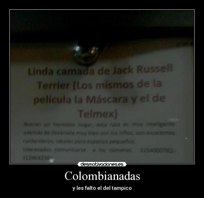 carteles colombianadas perros telmex mascara desmotivaciones