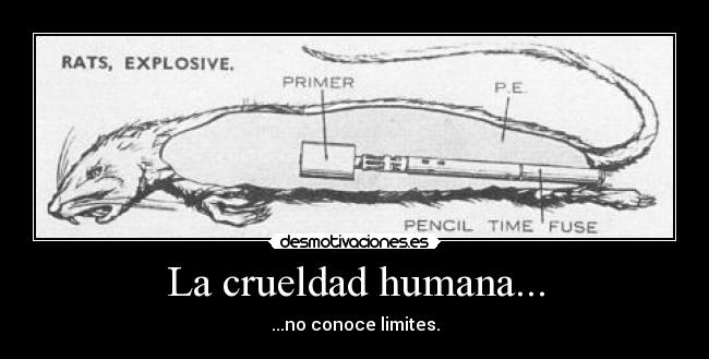 La crueldad humana... - ...no conoce limites.