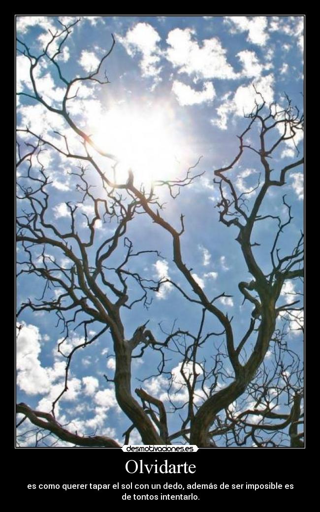 Olvidarte - 