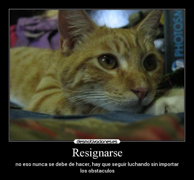 Resignarse - no eso nunca se debe de hacer, hay que seguir luchando sin importar los obstaculos