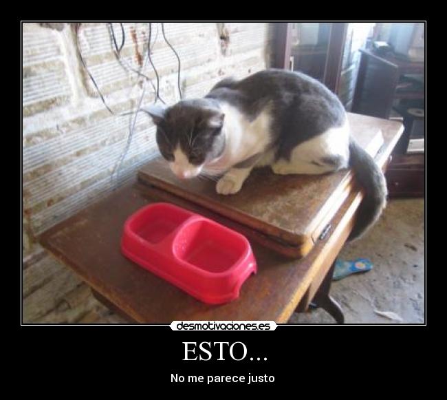 ESTO... -