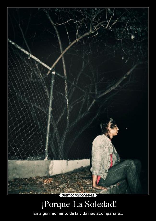 carteles soledad soledad desmotivaciones