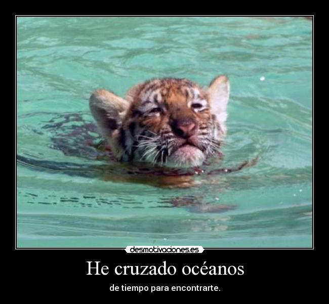 He cruzado océanos - de tiempo para encontrarte.