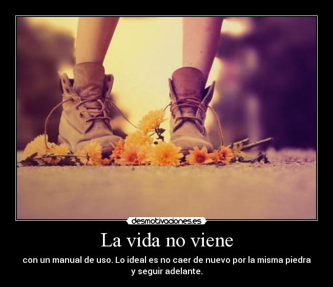 La vida no viene - con un manual de uso. Lo ideal es no caer de nuevo por la misma piedra
y seguir adelante.