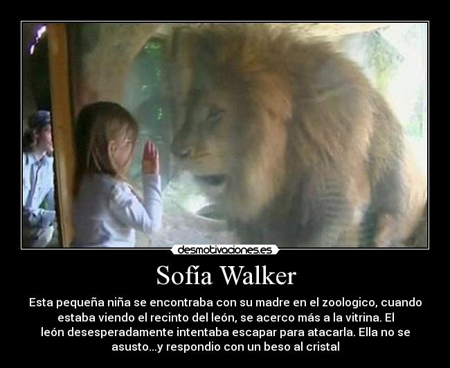 Sofía Walker - Esta pequeña niña se encontraba con su madre en el zoologico, cuando
estaba viendo el recinto del león, se acerco más a la vitrina. El
león desesperadamente intentaba escapar para atacarla. Ella no se
asusto...y respondio con un beso al cristal