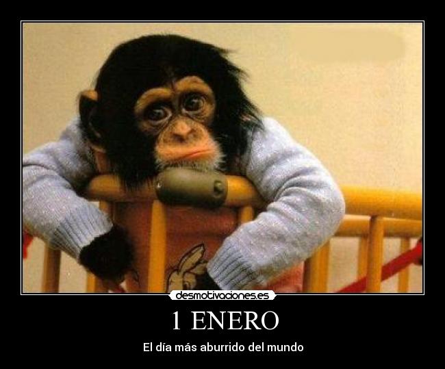 1 ENERO - El día más aburrido del mundo