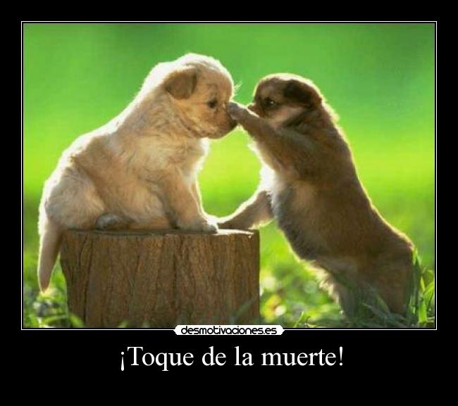 ¡Toque de la muerte! - 