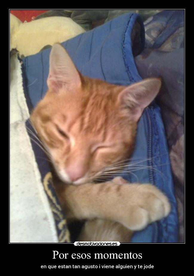 Por esos momentos - 