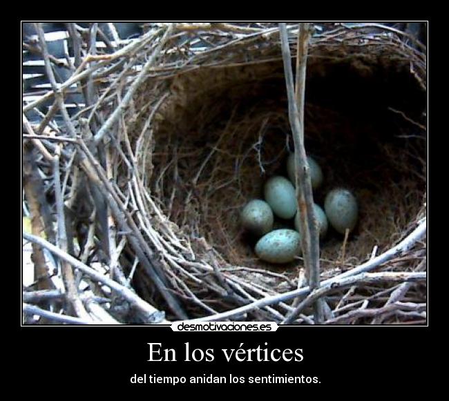 En los vértices - del tiempo anidan los sentimientos.