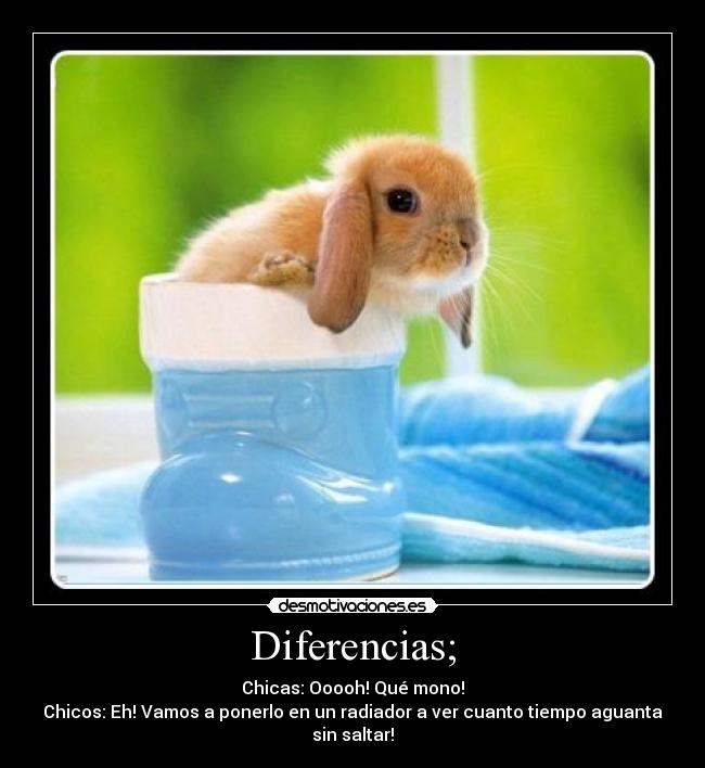 Diferencias; - Chicas: Ooooh! Qué mono!
Chicos: Eh! Vamos a ponerlo en un radiador a ver cuanto tiempo aguanta sin saltar!