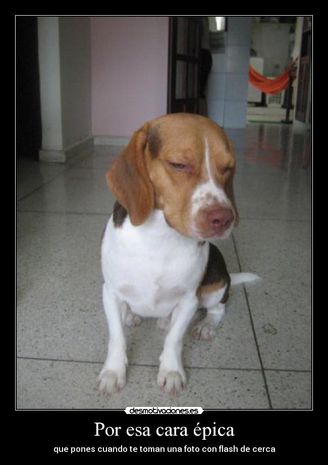 carteles epico desmotivaciones