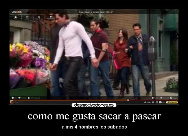 como me gusta sacar a pasear - a mis 4 hombres los sabados