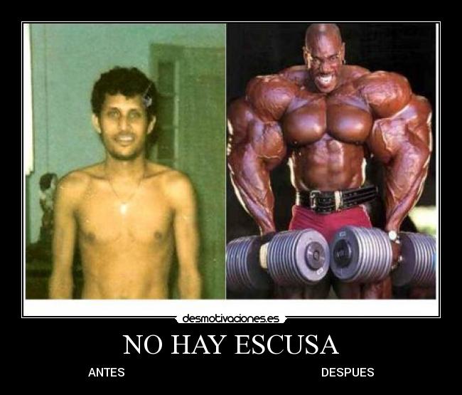 NO HAY ESCUSA - ANTES                                                                     DESPUES