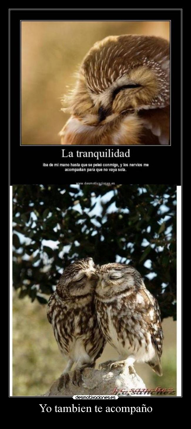 Yo tambien te acompaño - 