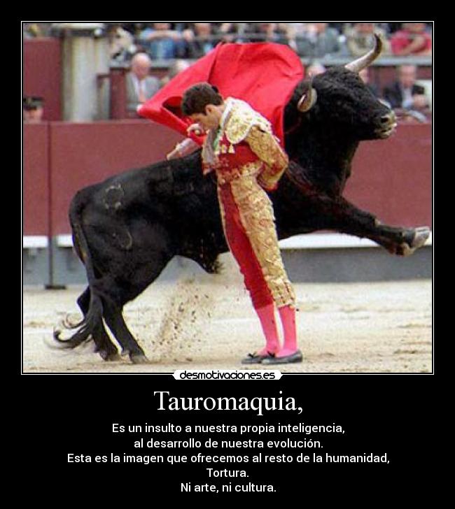 Tauromaquia, - 