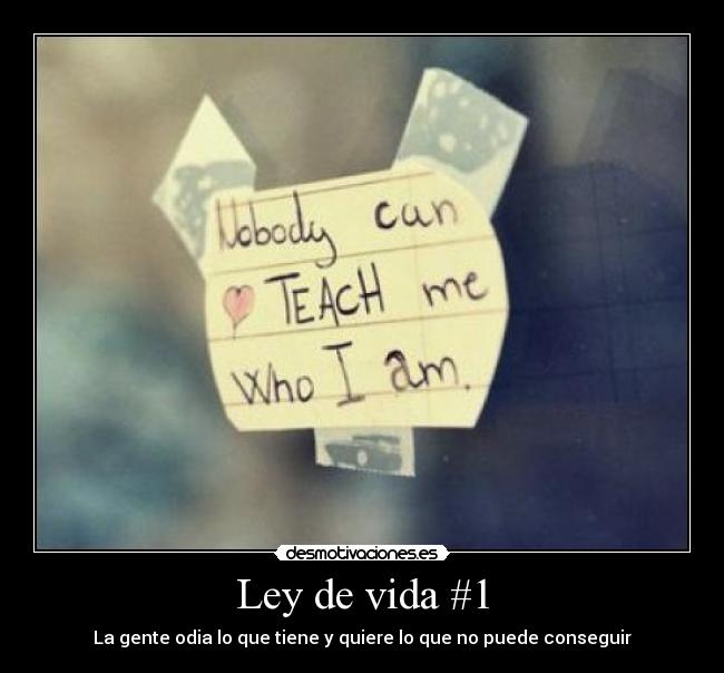 Ley de vida #1 - 