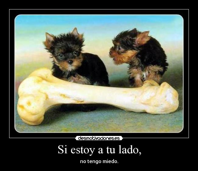 Si estoy a tu lado, - no tengo miedo.