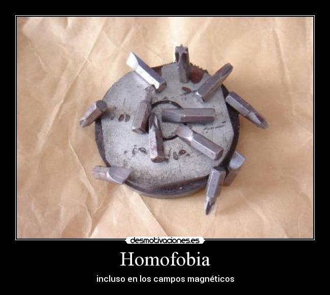 Homofobia - incluso en los campos magnéticos