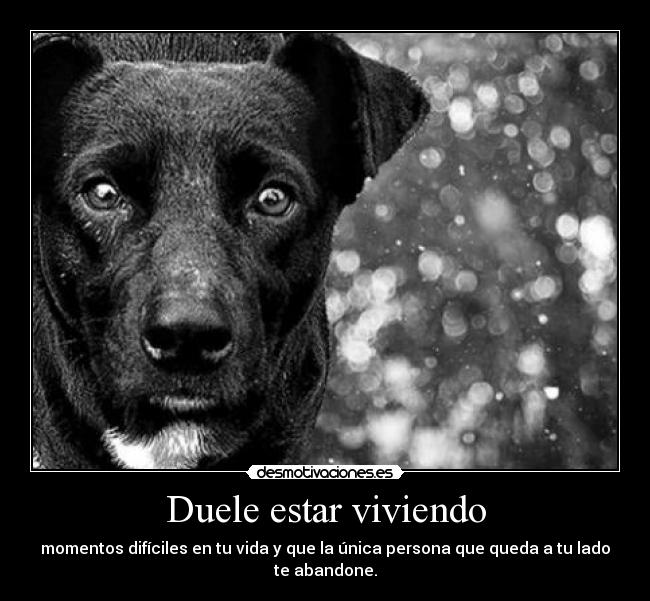 Duele estar viviendo - 