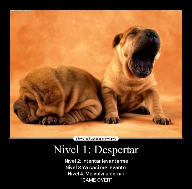 Nivel 1: Despertar - 