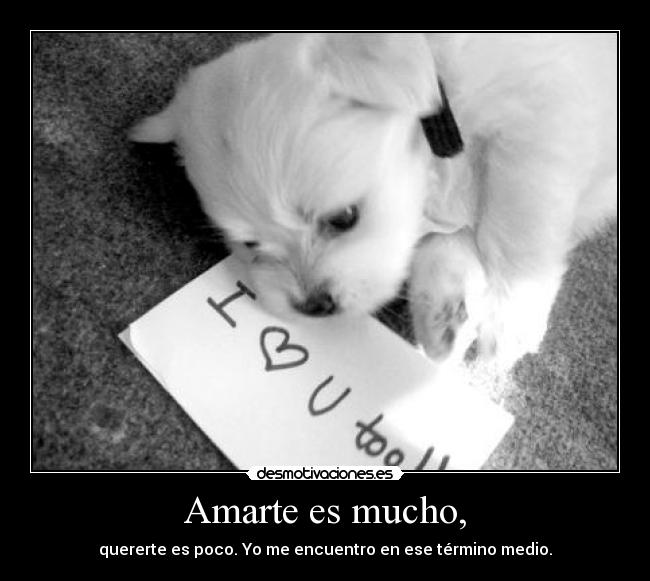 Amarte es mucho, - quererte es poco. Yo me encuentro en ese término medio.