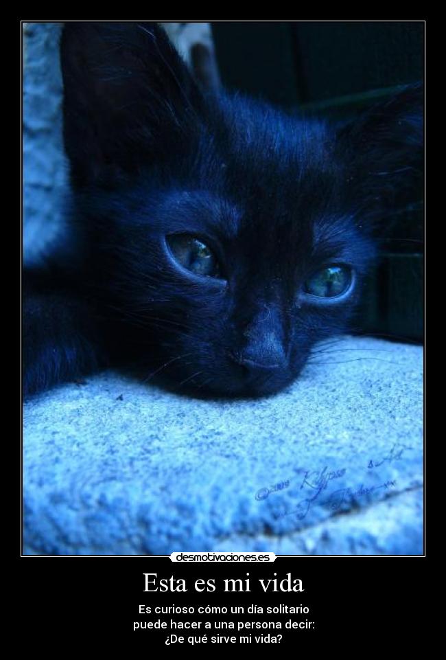 carteles vida esta vida desmotivaciones