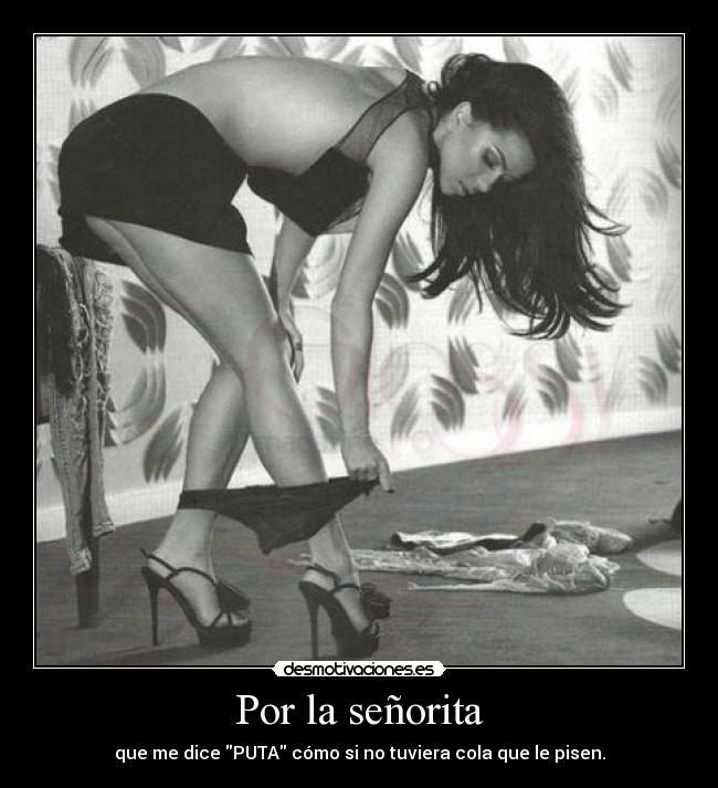 Por la señorita - que me dice PUTA cómo si no tuviera cola que le pisen.