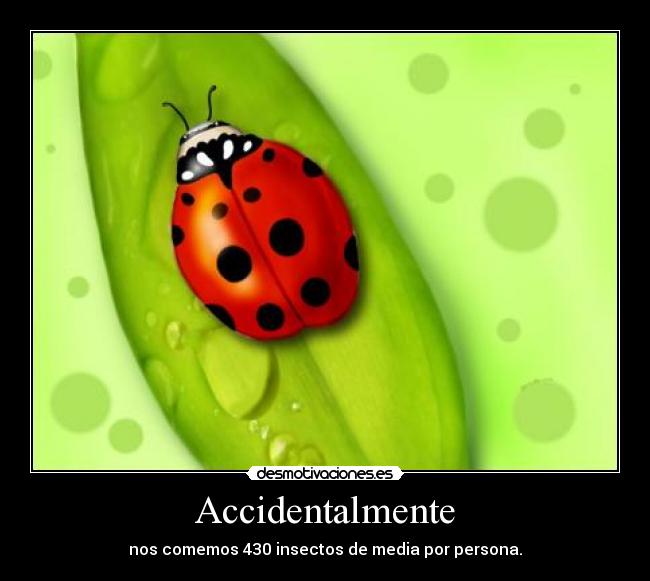 Accidentalmente -