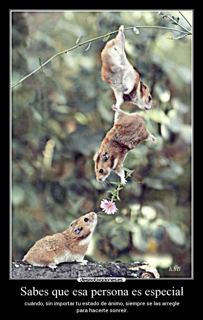 Sabes que esa persona es especial - cuándo, sin importar tu estado de ánimo, siempre se las arregle
para hacerte sonreír.