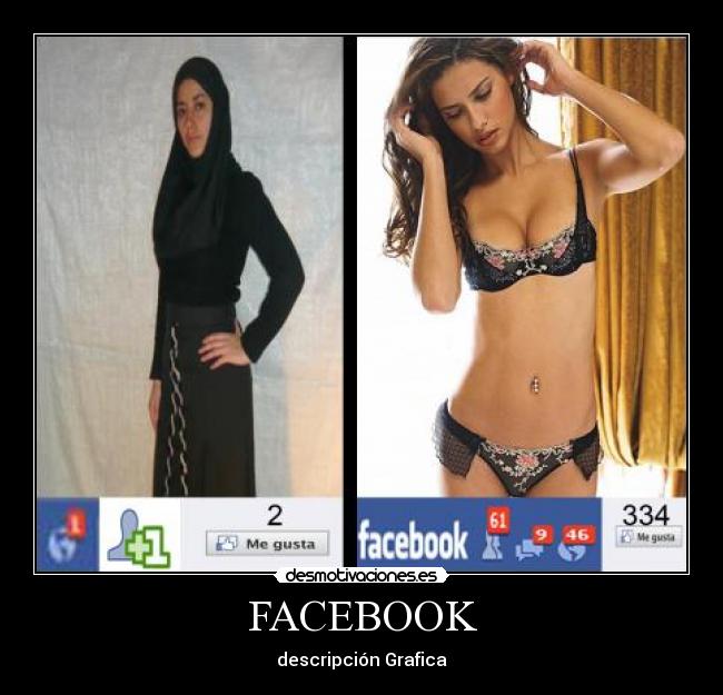 FACEBOOK - descripción Grafica