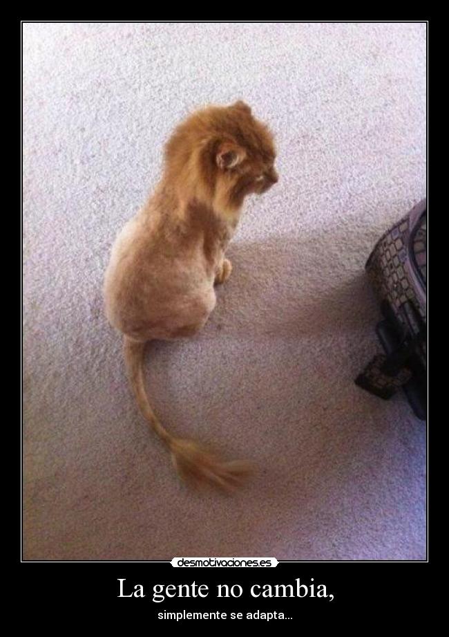 La gente no cambia, - simplemente se adapta...