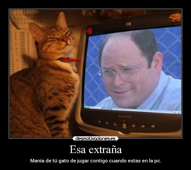 Esa extraña - Manía de tú gato de jugar contigo cuando estas en la pc.