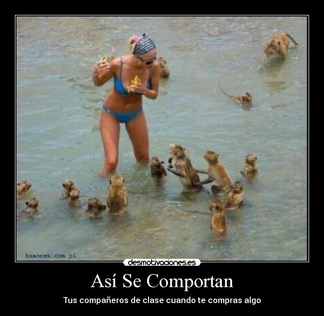 Así Se Comportan - Tus compañeros de clase cuando te compras algo