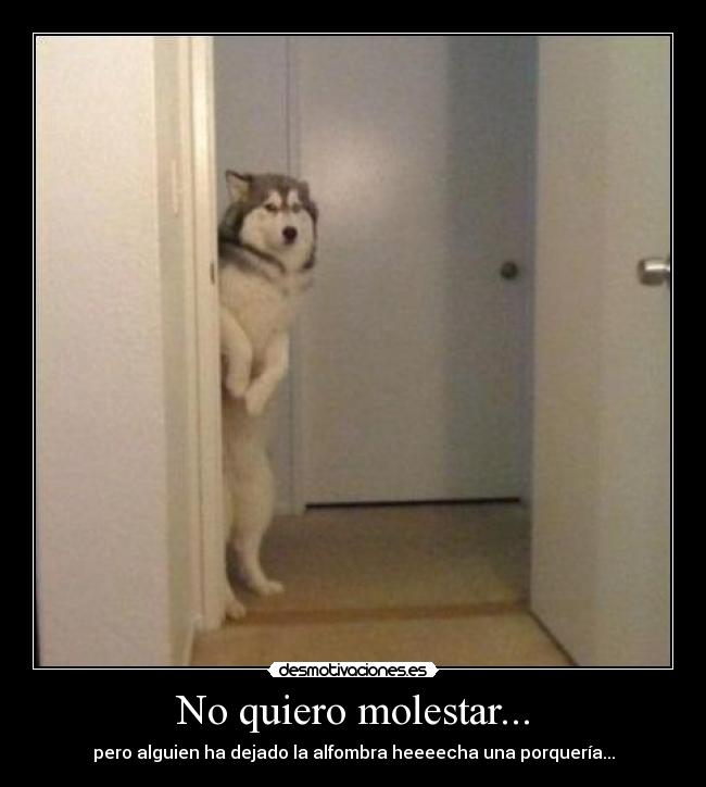 No quiero molestar... - pero alguien ha dejado la alfombra heeeecha una porquería...