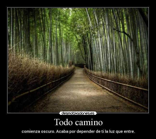 Todo camino - comienza oscuro. Acaba por depender de ti la luz que entre.