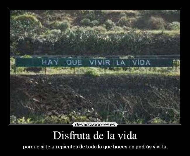 carteles vida hay que vivir vida desmotivaciones