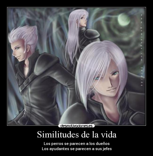 Similitudes de la vida - Los perros se parecen a los dueños
Los ayudantes se parecen a sus jefes