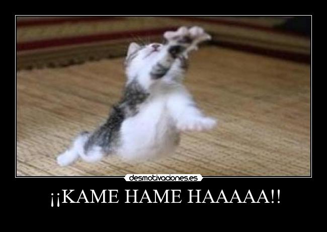 carteles kame hame haaaaa ferchoposadaxd vvilmar millonarios desmotivaciones