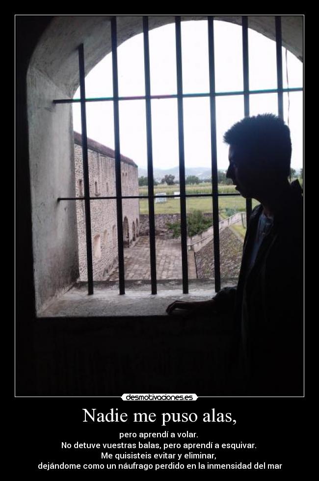 Nadie me puso alas, -