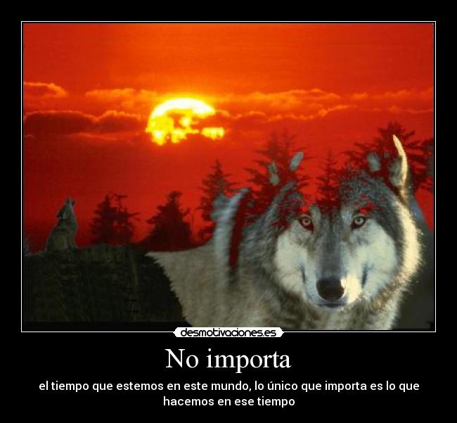 carteles blackwolf importa tiempo que estemos este mundo desmotivaciones