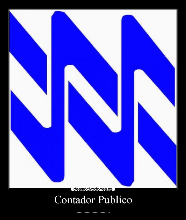 Contador Publico -