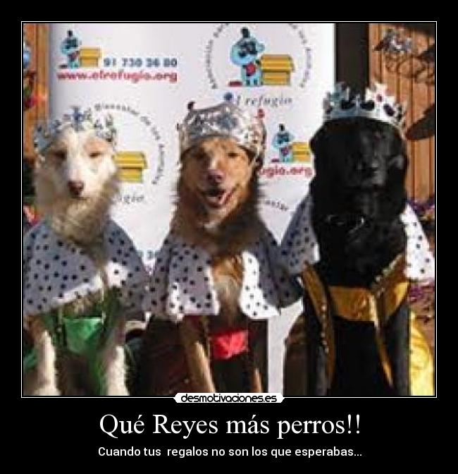 Qué Reyes más perros!! - Cuando tus regalos no son los que esperabas...