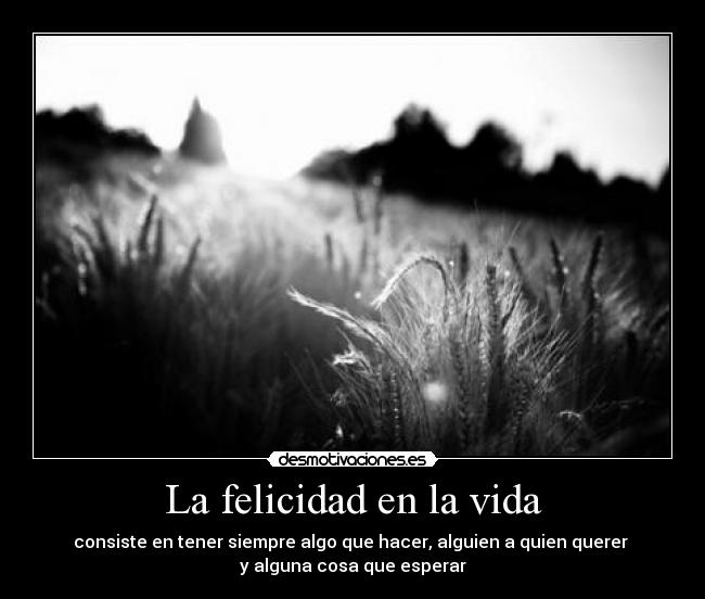 La felicidad en la vida -