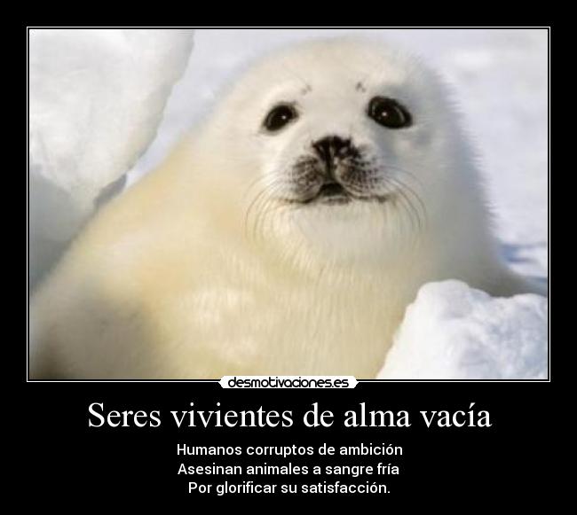 carteles alma seres vivientes alma vacia desmotivaciones